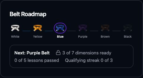Belt Roadmap showing six belts, current Blue Belt, and progress toward Purple Belt.