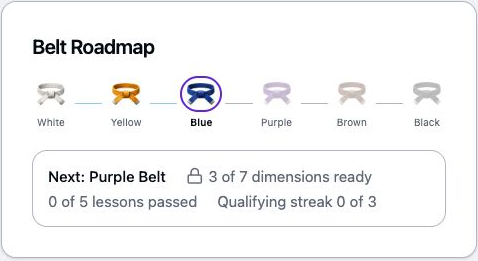 Belt Roadmap showing six belts, current Blue Belt, and progress toward Purple Belt.