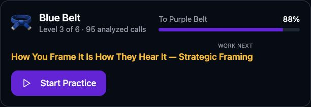 Current belt card showing Blue Belt progress toward Purple Belt and the next skill to work on.