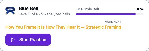 Current belt card showing Blue Belt progress toward Purple Belt and the next skill to work on.