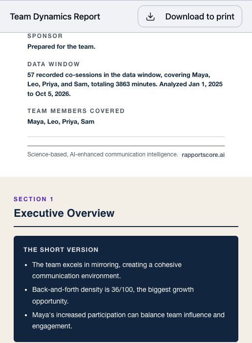 Team Dynamics Report overview with an executive summary of how the team communicates.